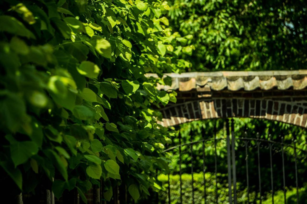 A Casa Nostra - Huiselijk En Gezellig Overnachten - Exclusief Ontbijt Well  Dış mekan fotoğraf